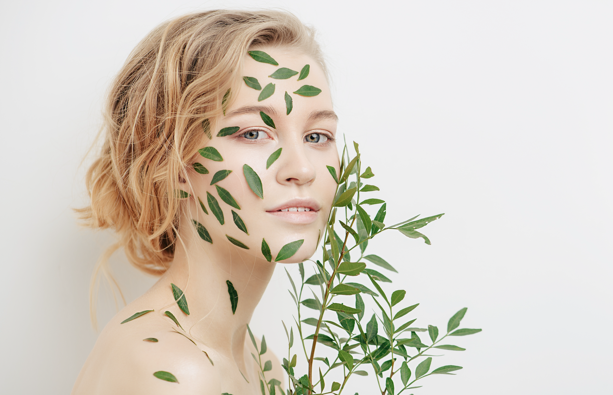 the best organic ingredients for your skincare